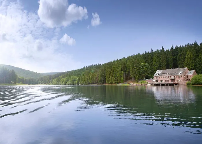 Апартаменты Holidayhaus Luetsche Франкенхайн