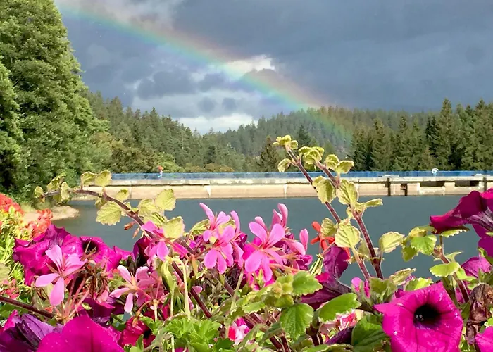 Апартаменты Holidayhaus Luetsche